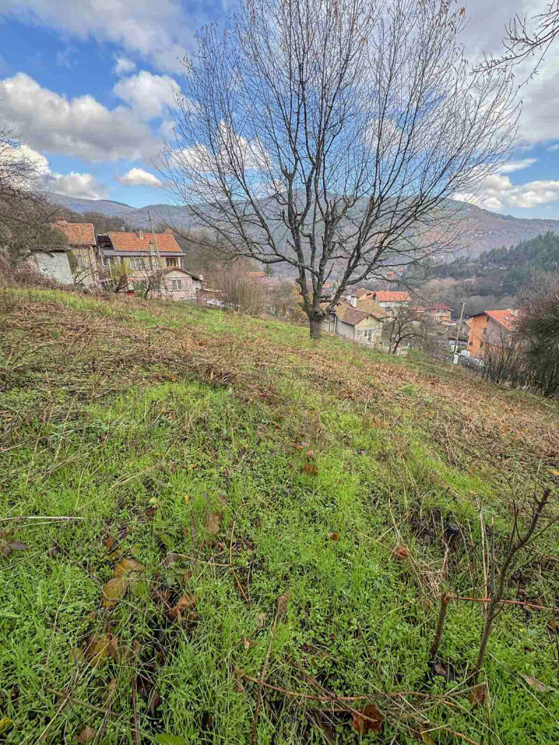 Продава ПАРЦЕЛ, с. Свидня, област София област, снимка 4 - Парцели - 52556621