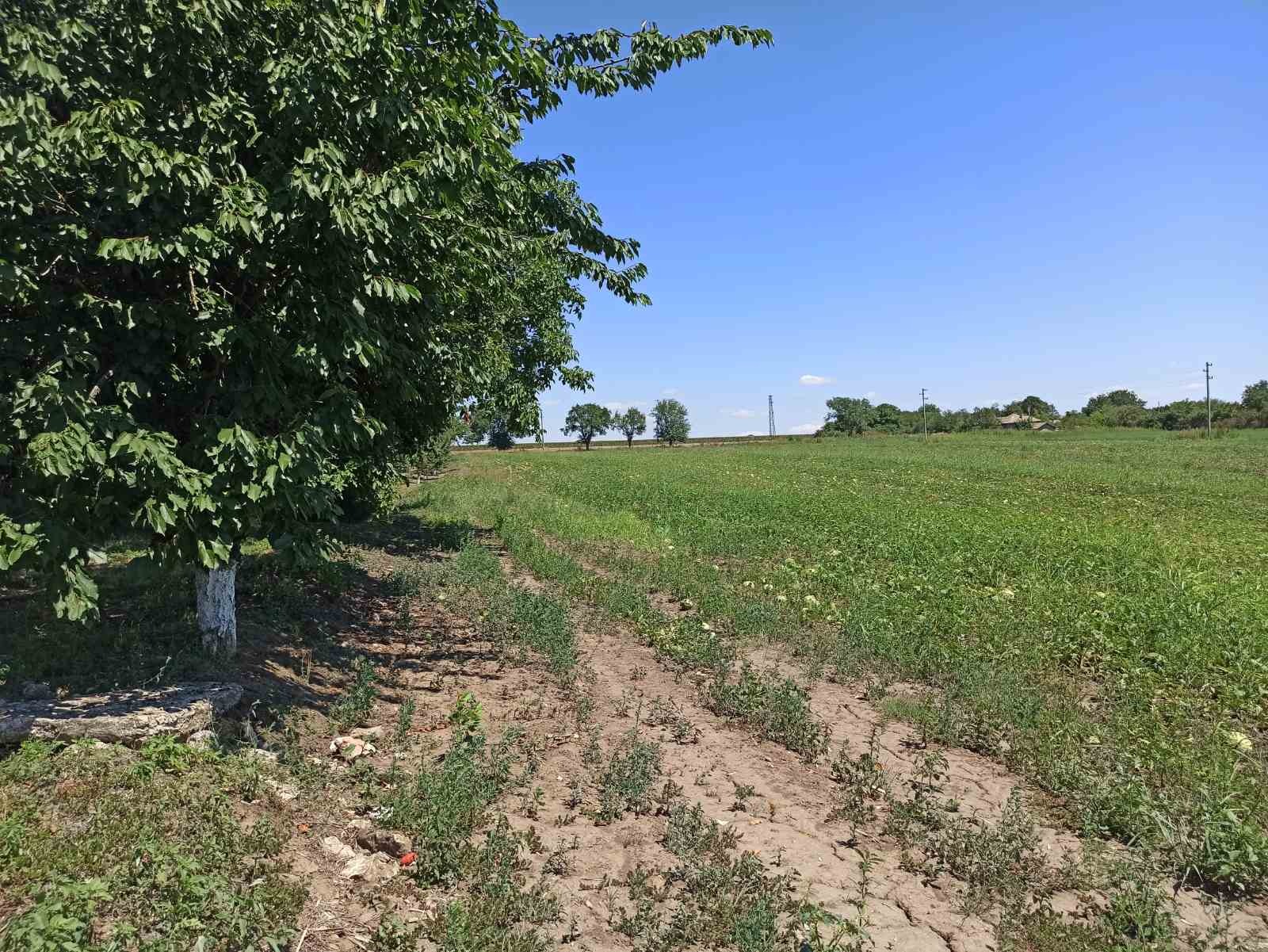 Продава ФЕРМА | Imot.bg — изображение 17