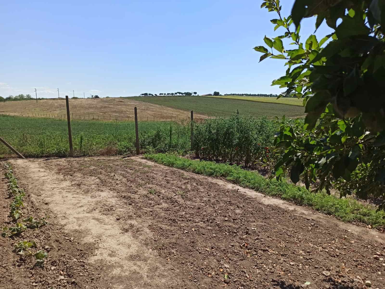 Продава ФЕРМА | Imot.bg — изображение 9