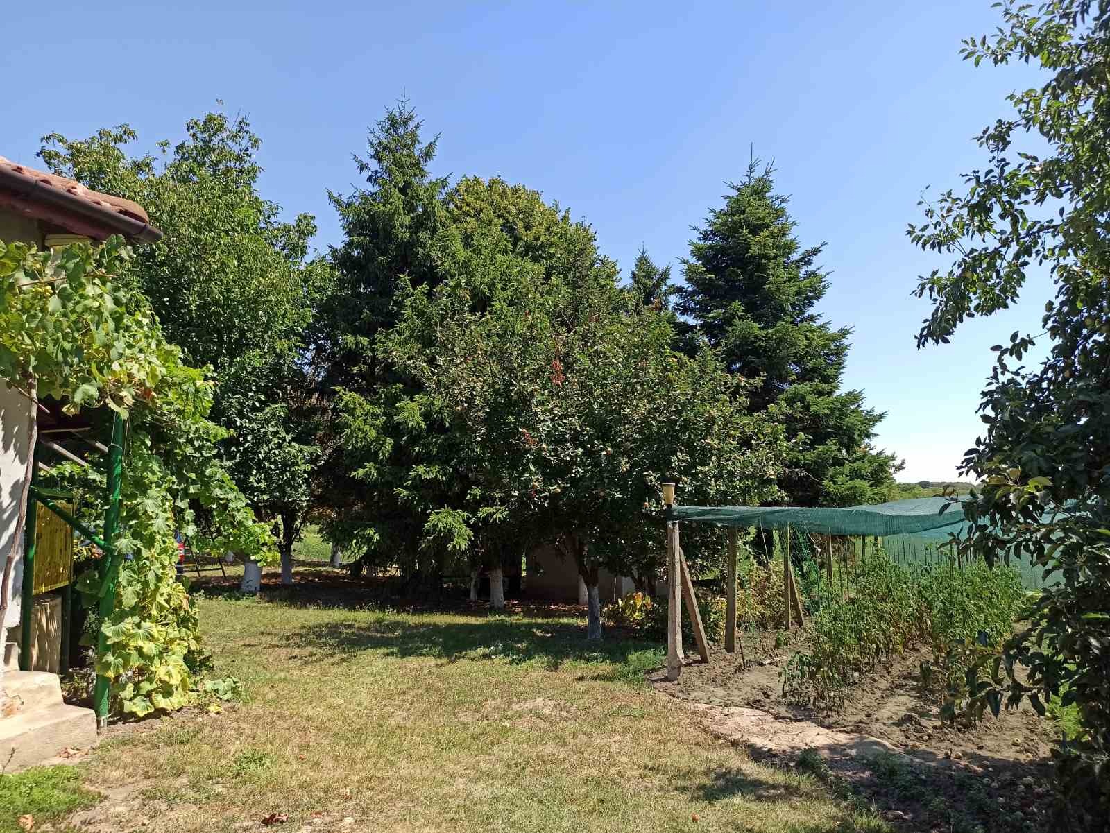 Продава ФЕРМА | Imot.bg — изображение 7