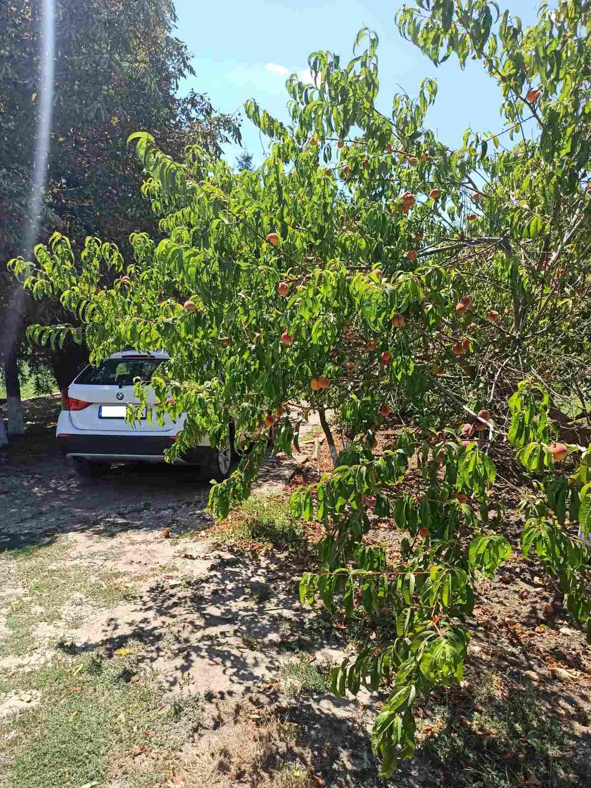 Продава ФЕРМА | Imot.bg — изображение 2