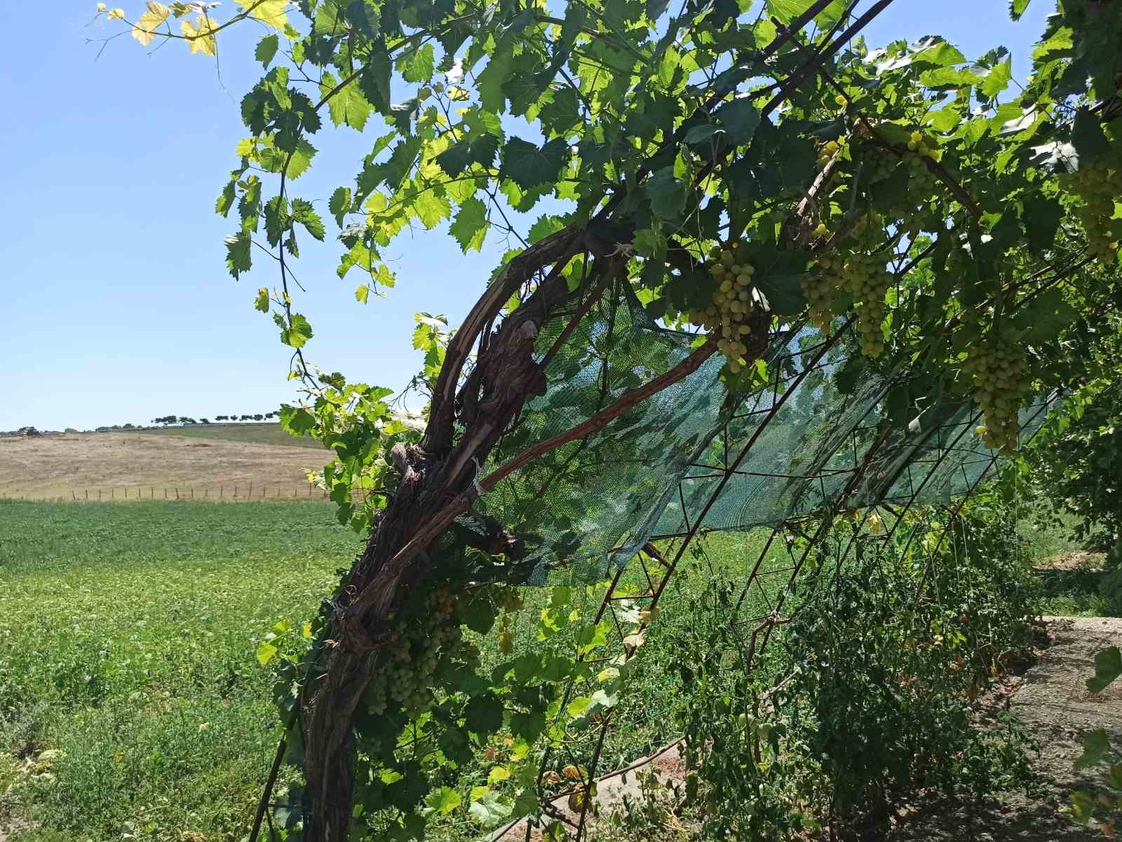 Продава ФЕРМА | Imot.bg — изображение 16