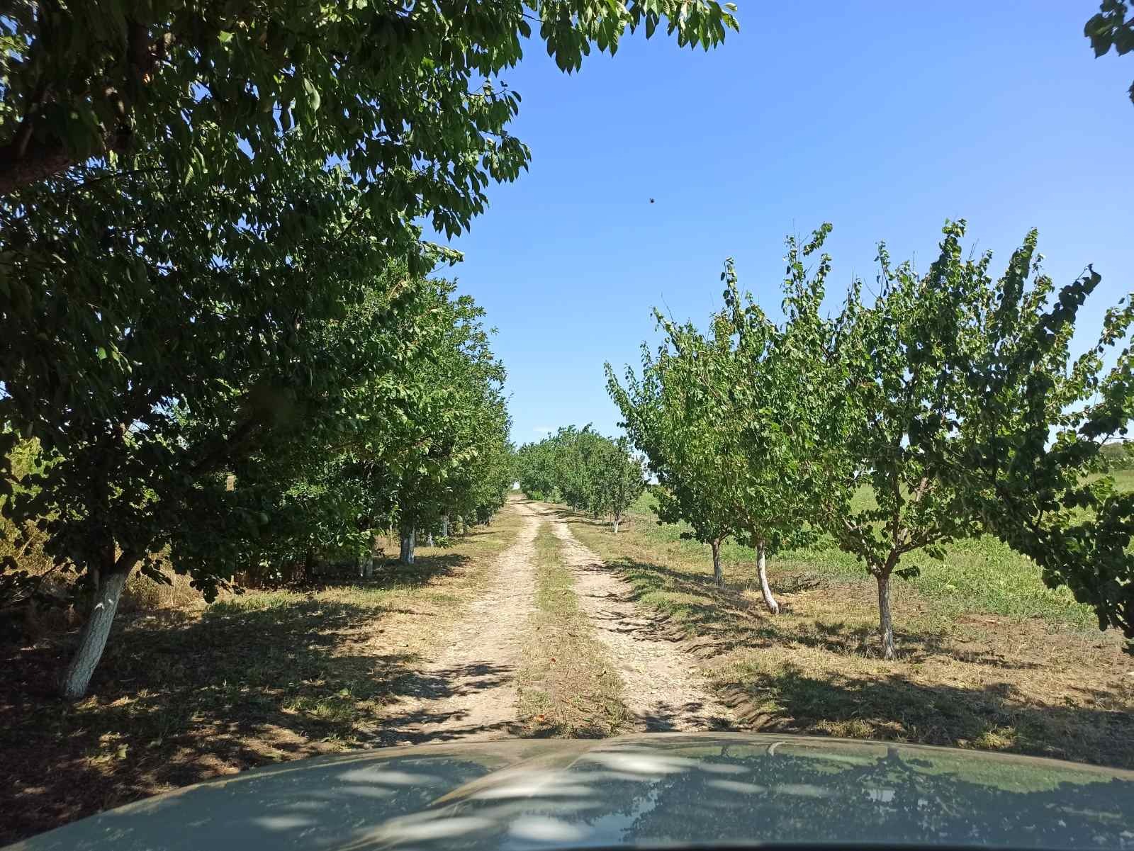 Продава ФЕРМА | Imot.bg — изображение 1