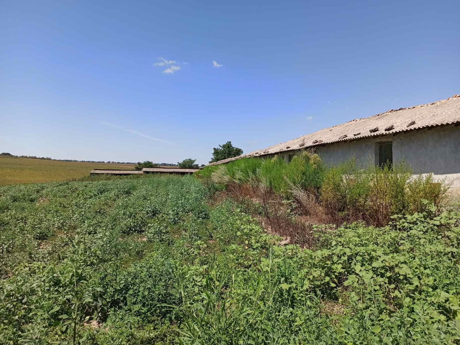 Продава ФЕРМА | Imot.bg — изображение 12