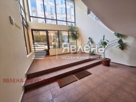 ����� ������� ����,���� ������, ������