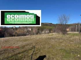 ����� ������� ������,�. �������, ������ �����