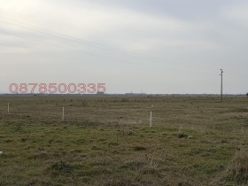 ����� ������� ������,�. ����� ����, ������ �����