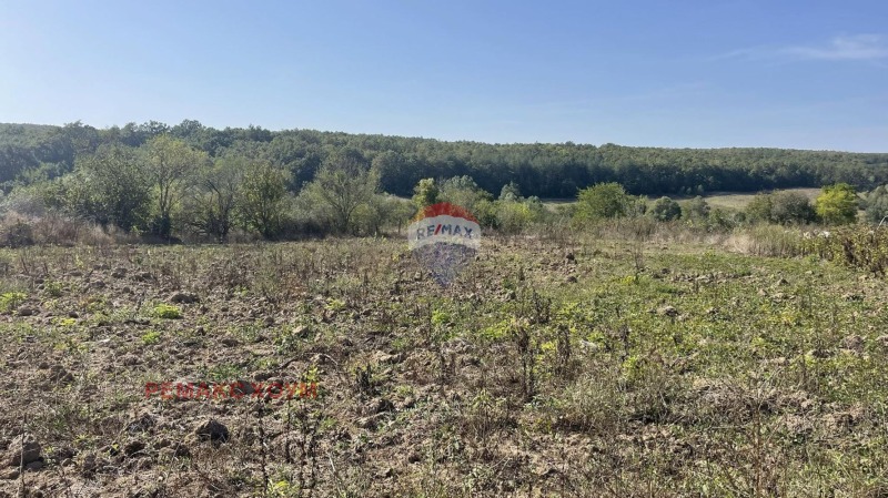 For Sale  Plot region Varna , Krivini , 616 sq.m | 42572568 - image [2]