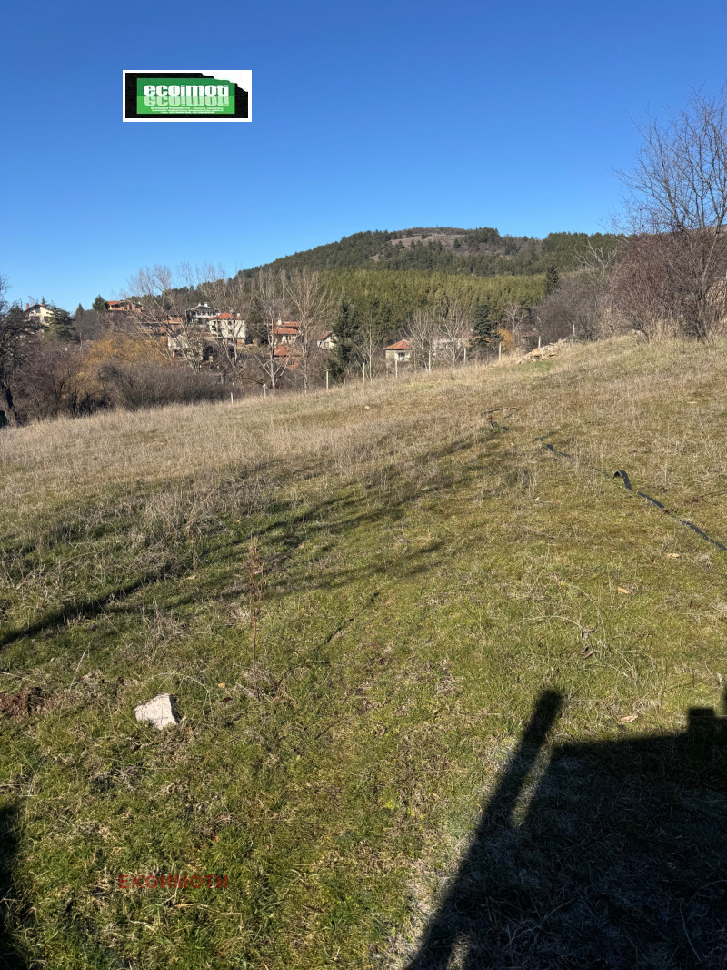 Продава ПАРЦЕЛ, с. Байлово, област София област, снимка 2 - Парцели - 53171414