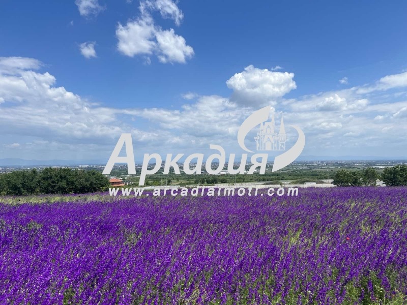 ������� ������ | Imot.bg � ����������� 1