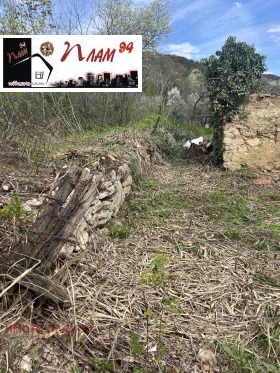 ����� ������� ������,���� �����, �-� ������