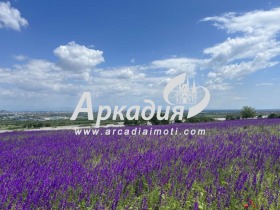 ������� ������ | Imot.bg � ����� ������ 3