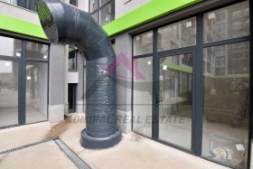 ����� ������� �������,���� �����, �������� �������