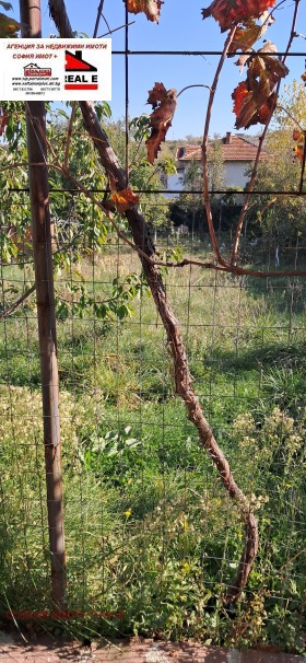 Dom Granica, region Kiustendił 9