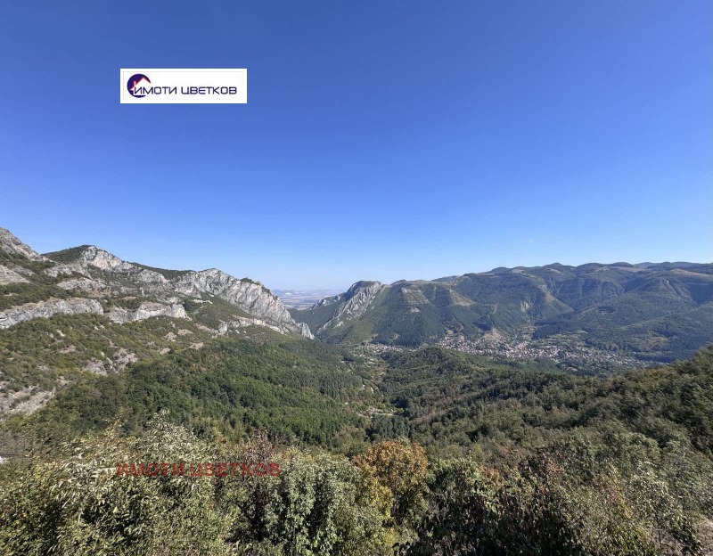 Продава ПАРЦЕЛ, с. Згориград, област Враца, снимка 3 - Парцели - 52733058