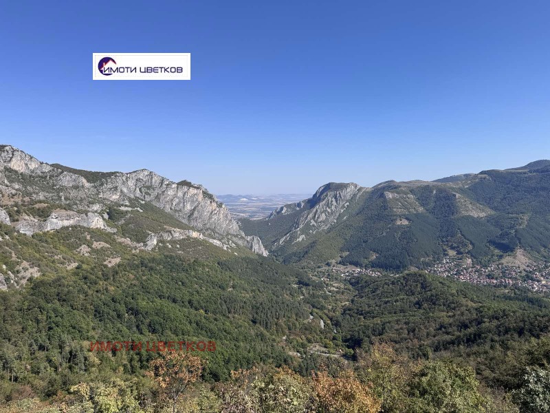 Продава ПАРЦЕЛ, с. Згориград, област Враца, снимка 4 - Парцели - 52733058