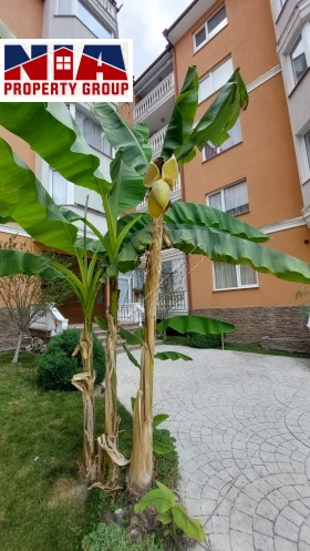 ������� 2-����� | Imot.bg � ����� ������ 14
