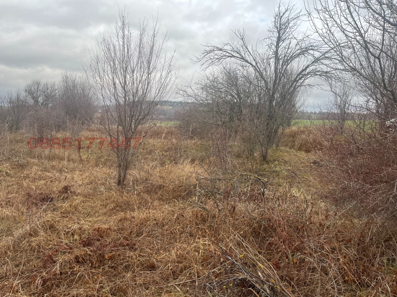 Продава ПАРЦЕЛ, гр. Костинброд, област София област, снимка 3 - Парцели - 53353978