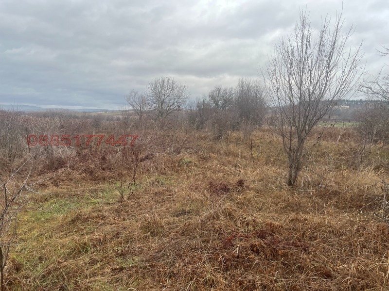 Продава ПАРЦЕЛ, гр. Костинброд, област София област, снимка 4 - Парцели - 53353978