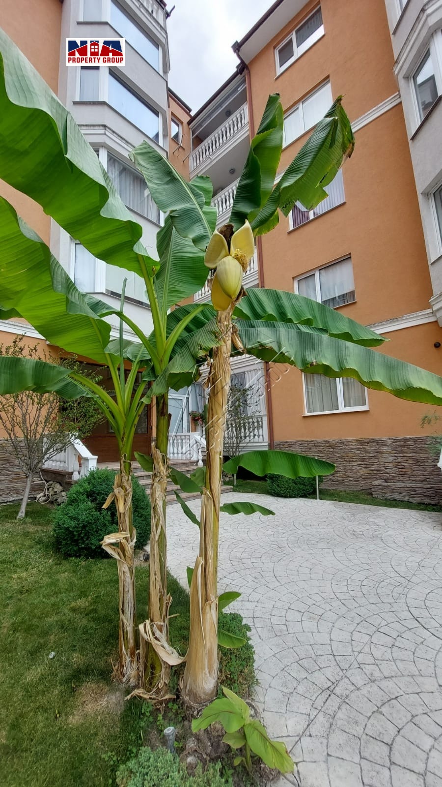 Продава 2-СТАЕН, к.к. Слънчев бряг, област Бургас, снимка 14 - Апартаменти - 55576795