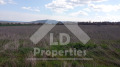 Продава ПАРЦЕЛ, с. Рогачево, област Добрич, снимка 1