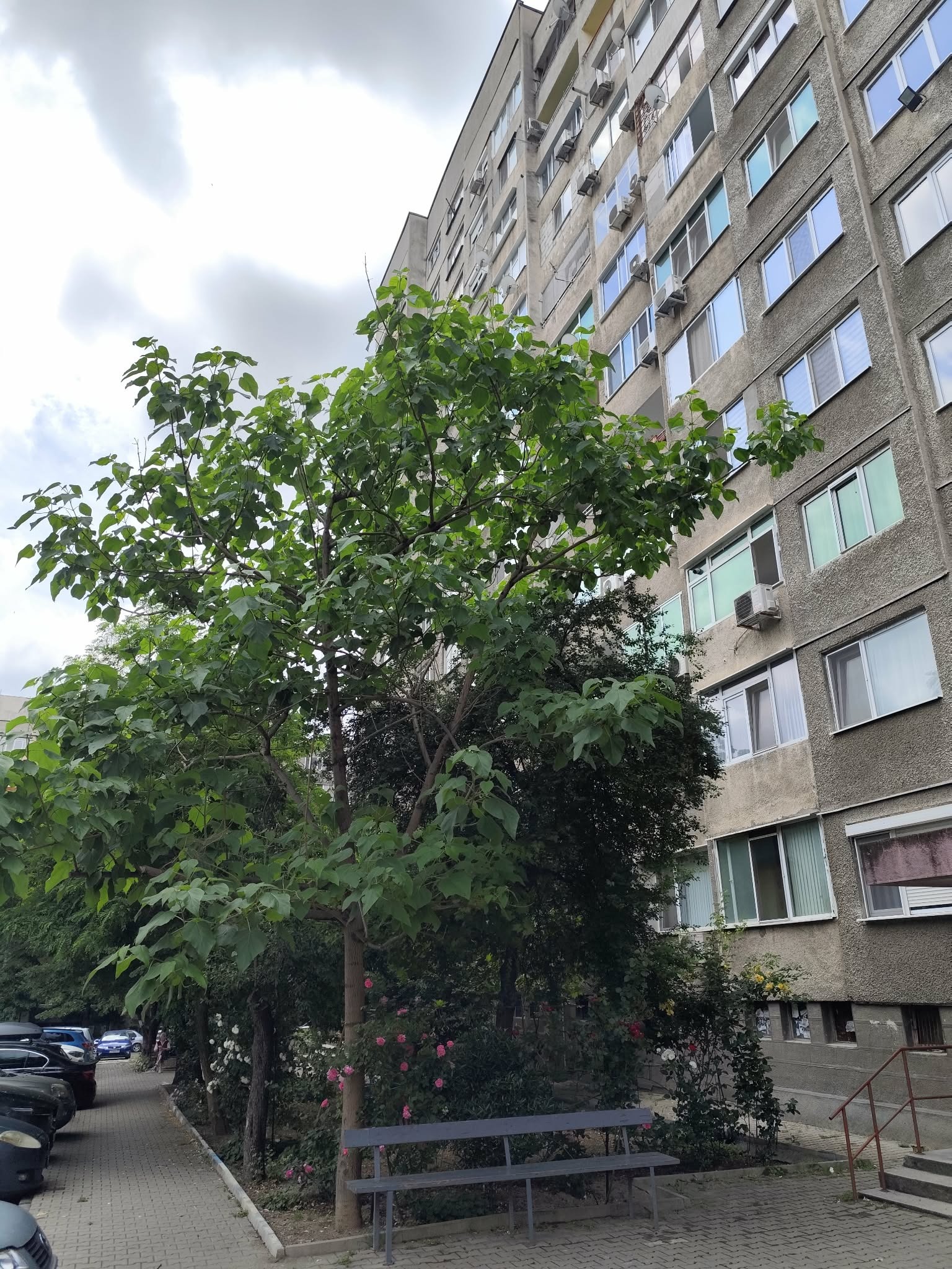 ������� 1-����� | Imot.bg � ����������� 2