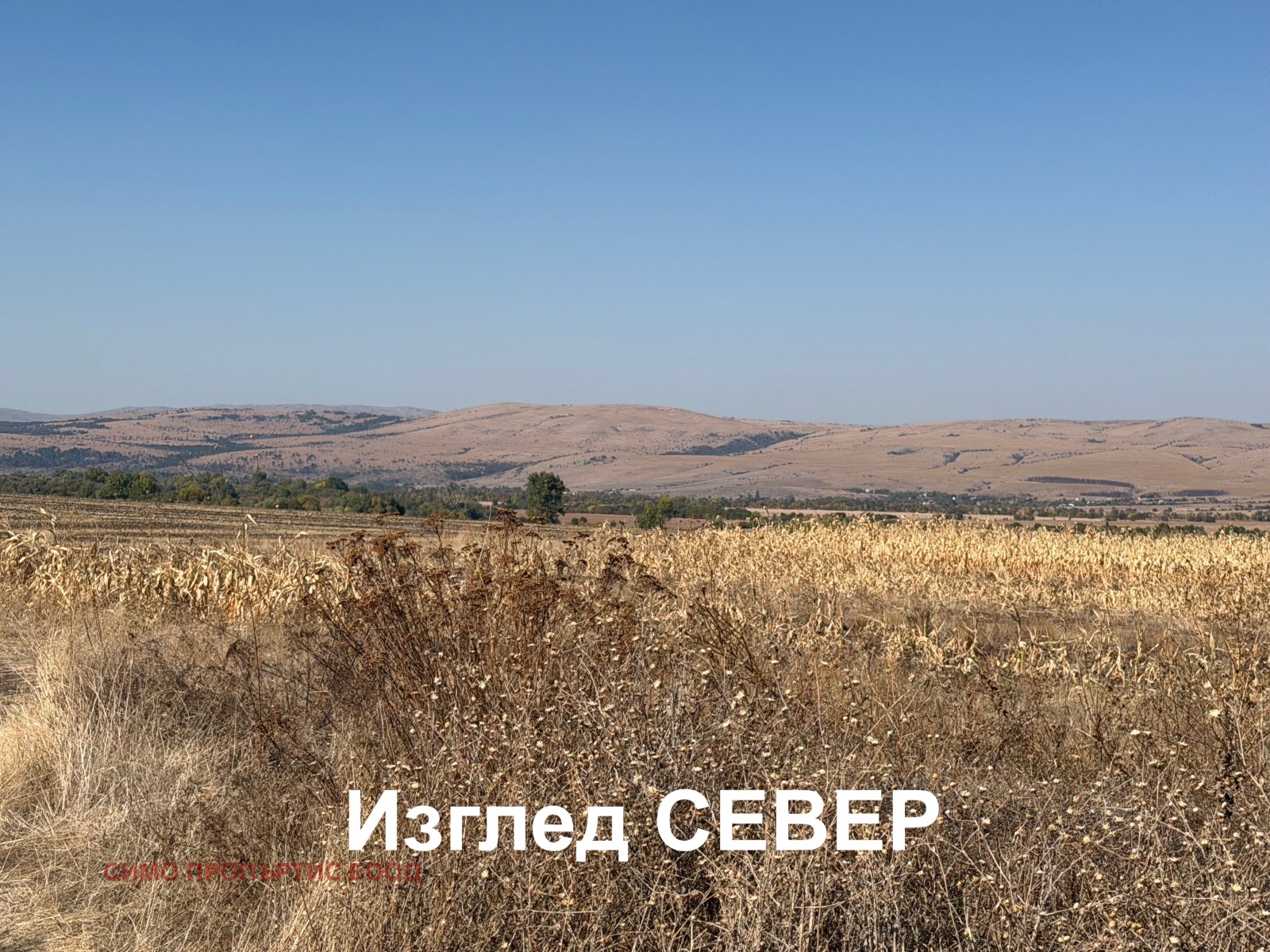 ������� ������ | Imot.bg � ����������� 8