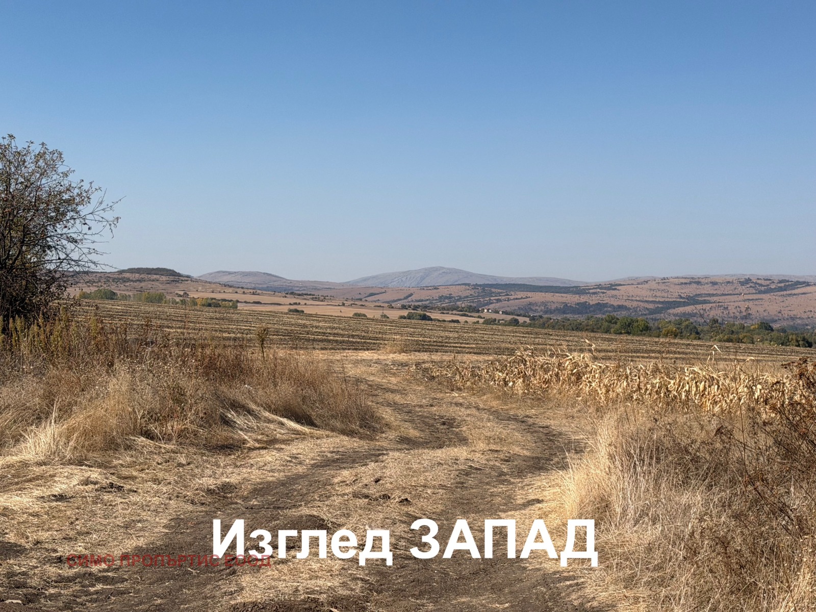 ������� ������ | Imot.bg � ����������� 7