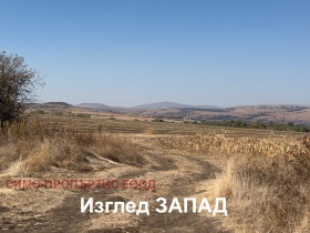 ������� ������ | Imot.bg � ����� ������ 7