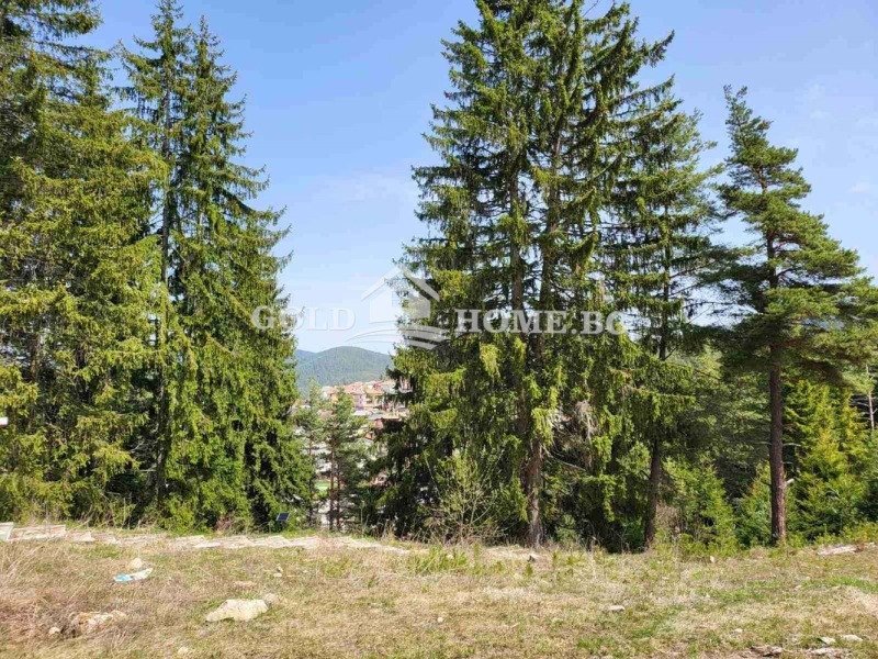 Na prodej  Dům oblast Smolyan , Dospat , 140 m2 | 11506367 - obraz [14]