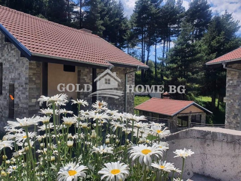 Na prodej  Dům oblast Smolyan , Dospat , 140 m2 | 11506367 - obraz [13]