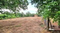 Продава ПАРЦЕЛ, с. Ряхово, област Русе, снимка 2