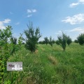 Продава ЗЕМЕДЕЛСКА ЗЕМЯ, с. Ковач, област Стара Загора, снимка 2