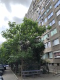 Продава 1-СТАЕН, град Стара Загора, Център • 44000 € / 86056.52 лв. • 67290210 2