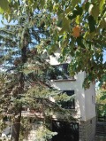 Продава КЪЩА, град София, Горна баня • 440000 € • 39968344 — Holmes.bg