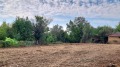 Продава ПАРЦЕЛ, област Русе, с. Ряхово • 62000 € / 121261.46 лв. • 75394428 17