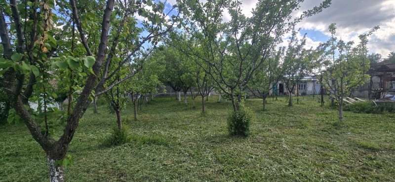 Na prodej  Dům oblast Shumen , Pliska , 109 m2 | 70476830 - obraz [2]