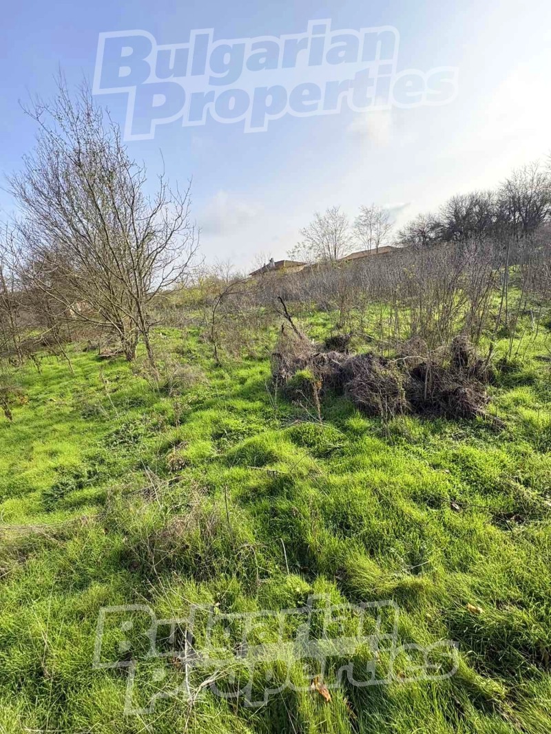 Продава ПАРЦЕЛ, с. Ковач, област Стара Загора, снимка 4 - Парцели - 52701648