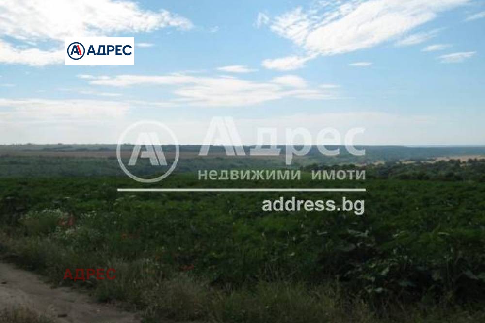 Продава ПАРЦЕЛ, с. Болярци, област Варна, снимка 2 - Парцели - 54405912