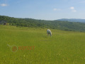 Продава ПАРЦЕЛ, гр. Стара Загора, м-т Беш Бунар, снимка 2