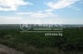 Продава ПАРЦЕЛ, с. Болярци, област Варна, снимка 2