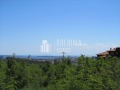 Продава  Парцел област Бургас , с. Кошарица , 6001 кв.м | 70807887 - изображение [5]