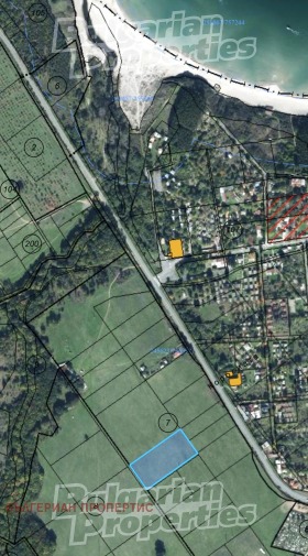 ����� ������� ������,��. �������, ������ ������