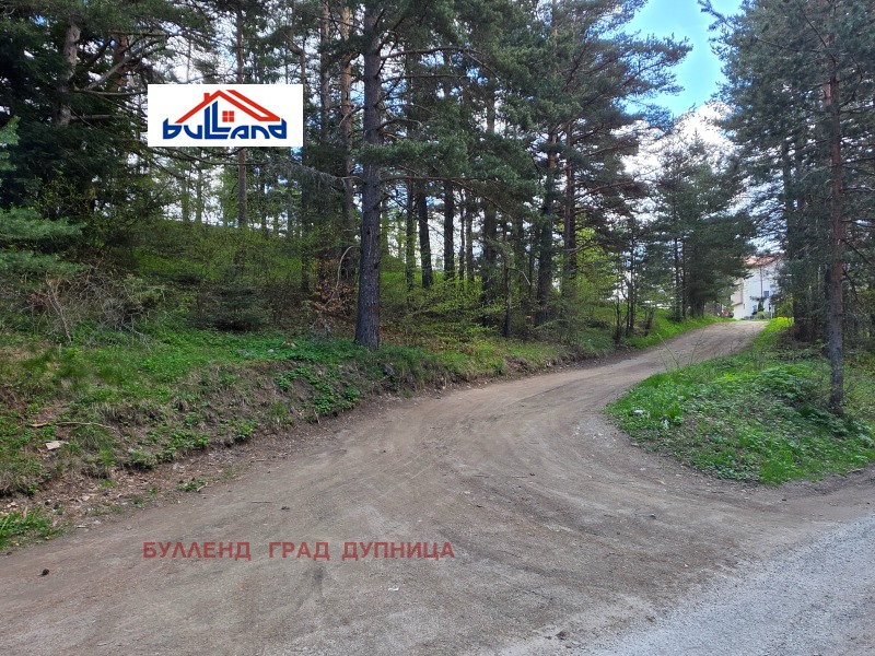 Продаја  Плот регион Ћустендил , Паничиште , 321 м2 | 27716460 - слика [3]
