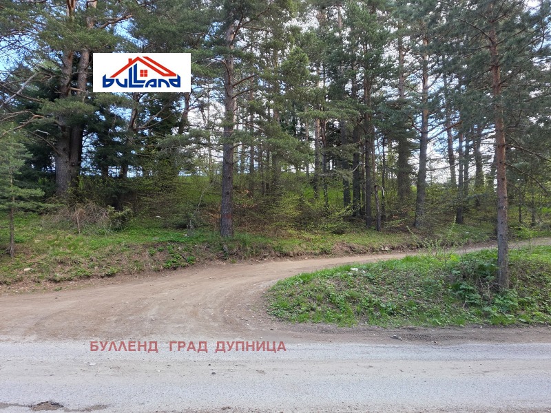 Продаја  Плот регион Ћустендил , Паничиште , 321 м2 | 27716460 - слика [2]