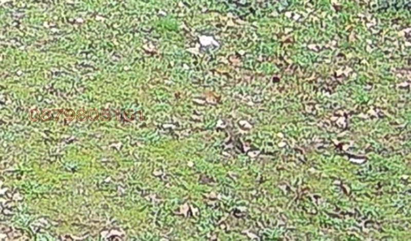 Продава ПАРЦЕЛ, гр. Монтана, Изгрев, снимка 2 - Парцели - 52784506