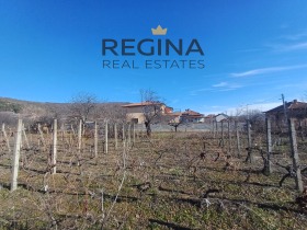 ����� ������� ������,��. ������, ������ �������