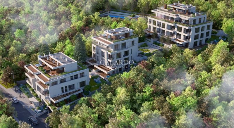 For Sale  3 bedroom Sofia , Boyana , 165 sq.m | 34304752 - image [7]