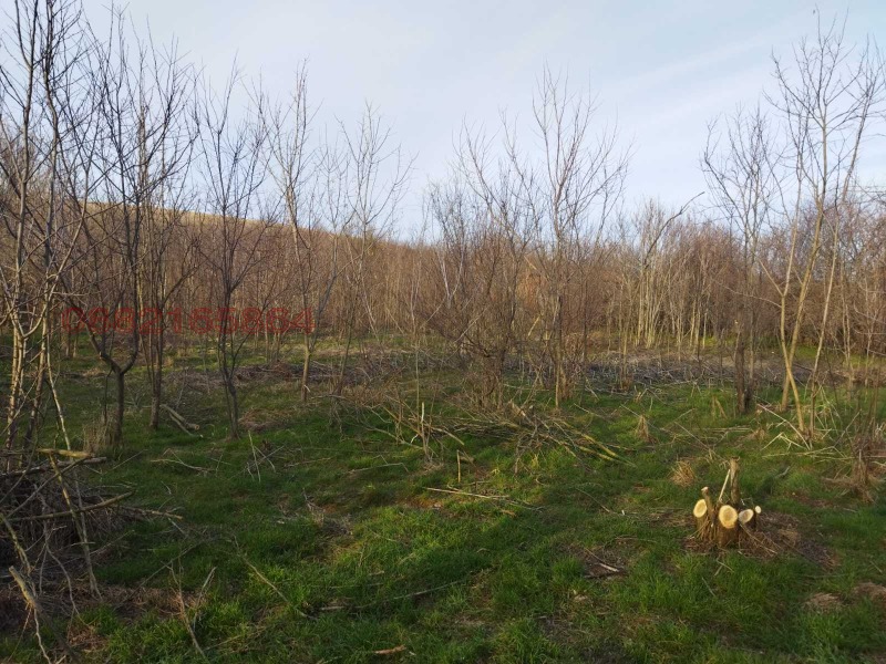 Продава КЪЩА, с. Смилец, област Силистра, снимка 2 - Къщи - 52852030