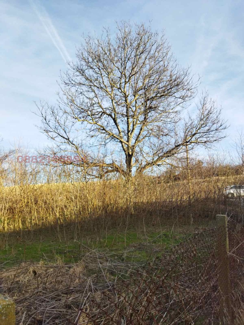 Продава КЪЩА, с. Смилец, област Силистра, снимка 4 - Къщи - 52852030